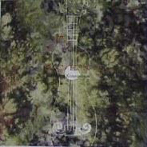 铃木真夕陪老人哪一期免费观看
